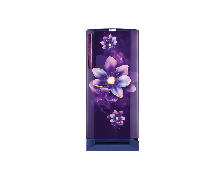 Godrej 221L Single Door Refrigerator